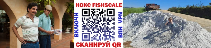 Купить  Димитровград  Кокаин Fish Scale 